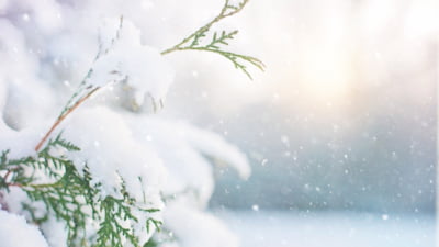 Cod galben de ninsori și ploi în județe.