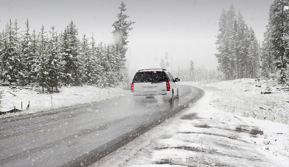 Cod portocaliu de ninsori de Crăciun