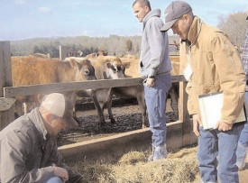 Fermierii riscă subvenții dacă nu respectă programul!