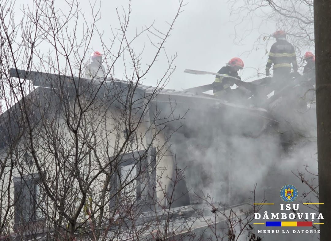 Incendiu stins Viteză în Tărtășești