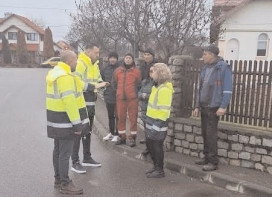 Moreni: Toaletare arbori pentru siguranță