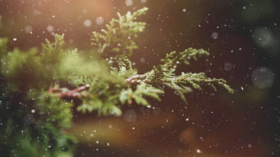 Prognoza meteo pentru sărbători 2025
