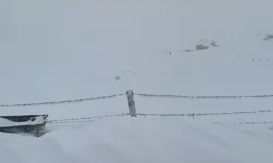 Salvamontiștii salvează o persoană în Bucegi