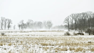 Vânt Bine provoacă probleme în țară