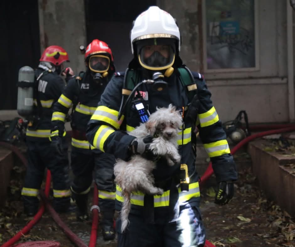 Viața are prioritate, stop incendiilor!