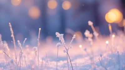 Vremea din prima lună a lui 2025: mai caldă