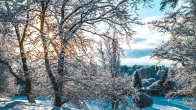 Vremea la început de an: prognoză 4 săptămâni