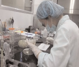 351 locuri de muncă vacante în Dâmbovița!