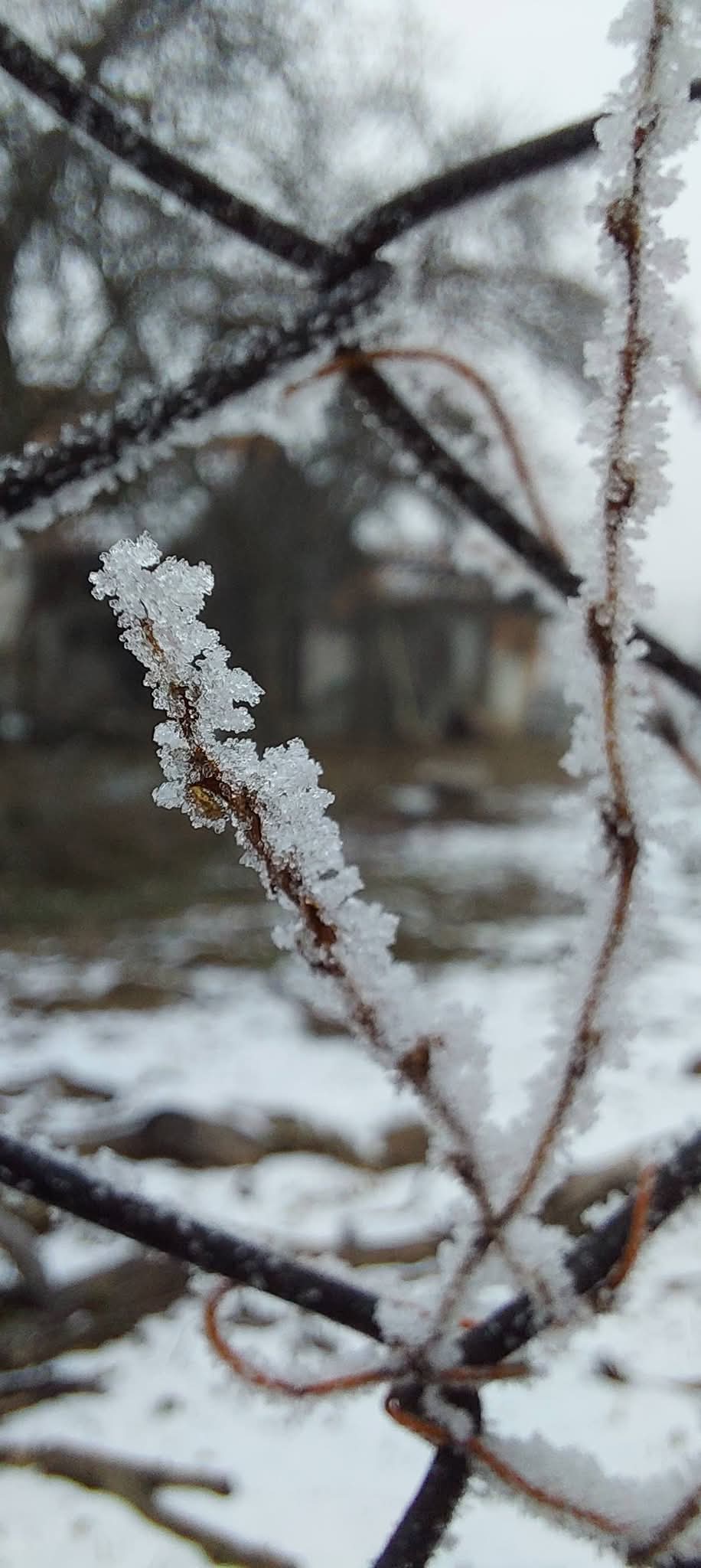 Alertă meteo: iarna se apropie!