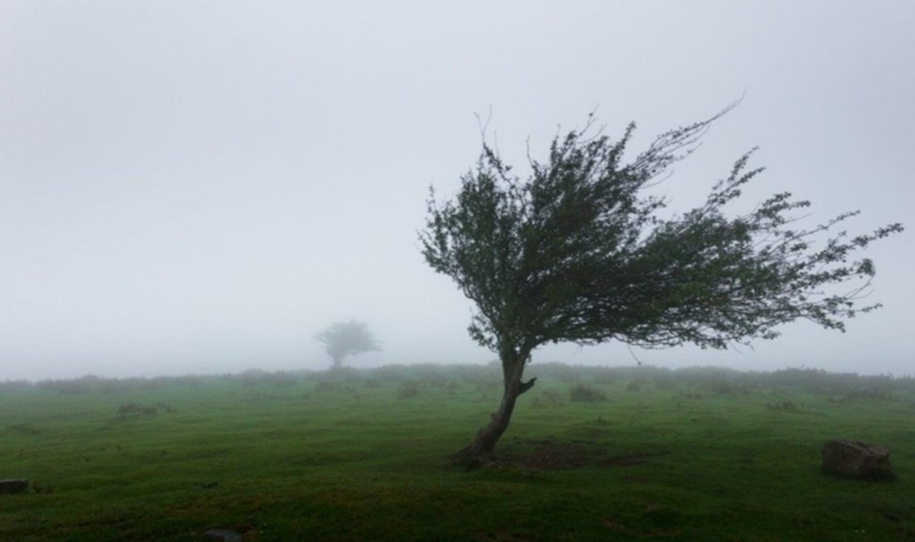 Alerte meteo: schimbări bruste de vreme