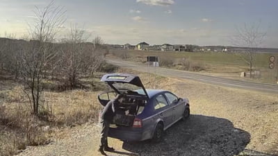 Amendă pentru abandonul unei pisici