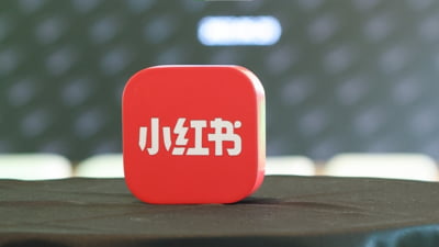 Americanii aleg „Cărticica Roșie” după TikTok