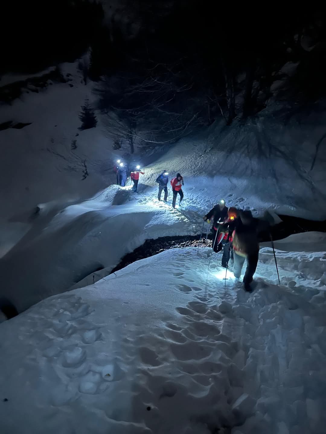 Cinci turiști salvați în Munții Baiului
