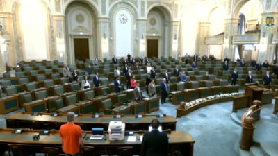 Concedieri în Senatul României: 24% reducere