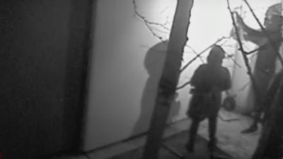 Furtul tezaurului dacic: noi detalii VIDEO