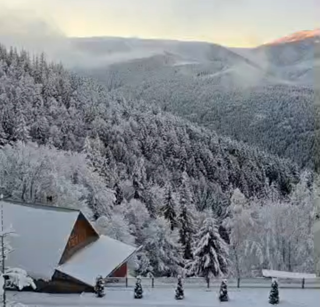 Iarna de vis în Bucovina, 25 ianuarie