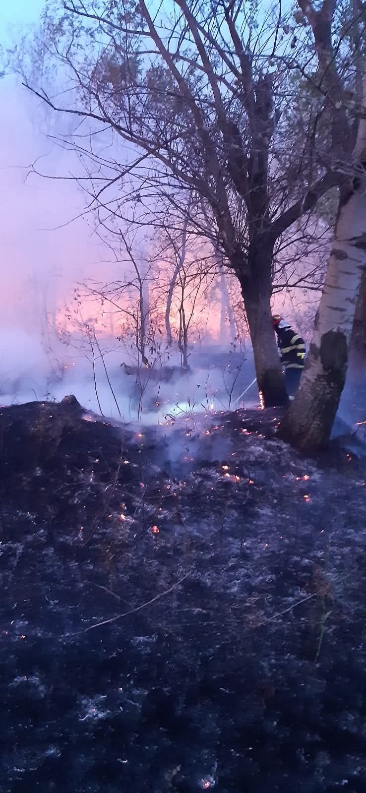 Incendiu de vegetație în comuna Lucieni