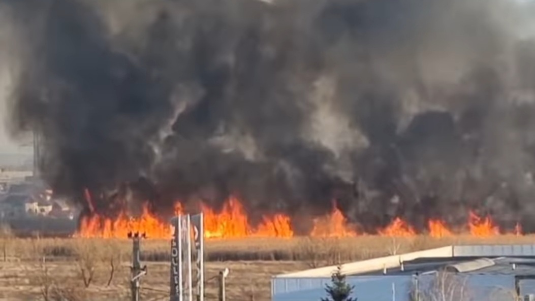 Incendiu de vegetație în Răzvad