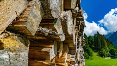 Ministrul Mediului atacă Romsilva