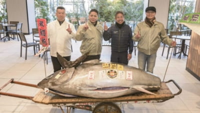 Peștele de 276 kg, cumpărat cu 1,3 mil. euro