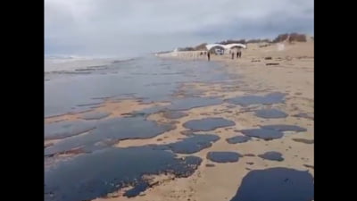 Pete de păcură pe Marea Neagră după naufragii