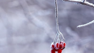 Prognoza meteo pentru prima lună din 2025