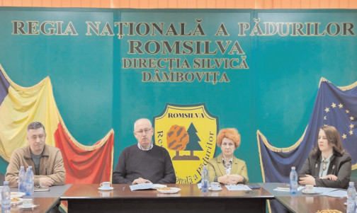 Scădere de 20% în tăierile ilegale de lemn