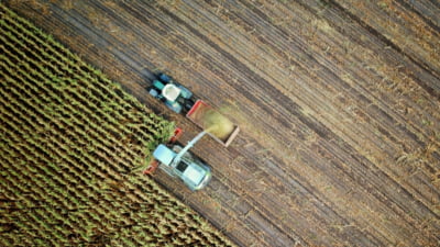 Terenuri agricole din România, prețuri mari