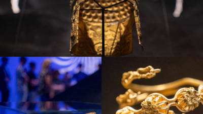 Tezaur dacic furat din muzeu în Olanda