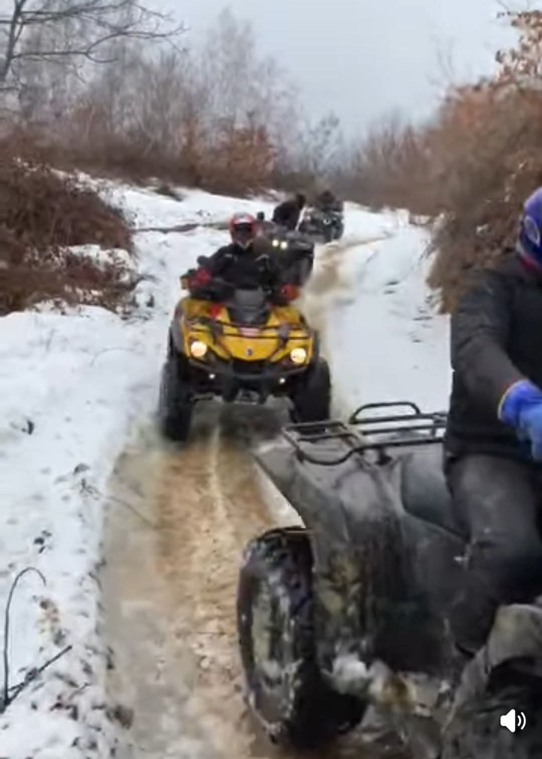 Accesul cu vehicule în păduri, interzis