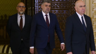 „Critica lui Dan Dungaciu la Guvern"