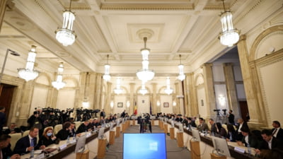 Elena Lasconi, atac la CCR: "Ce ne mai luați?"