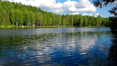 Femeia care a găsit fericirea în Finlanda