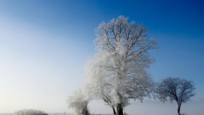 Gerul acoperă România: -18 grade Celsius