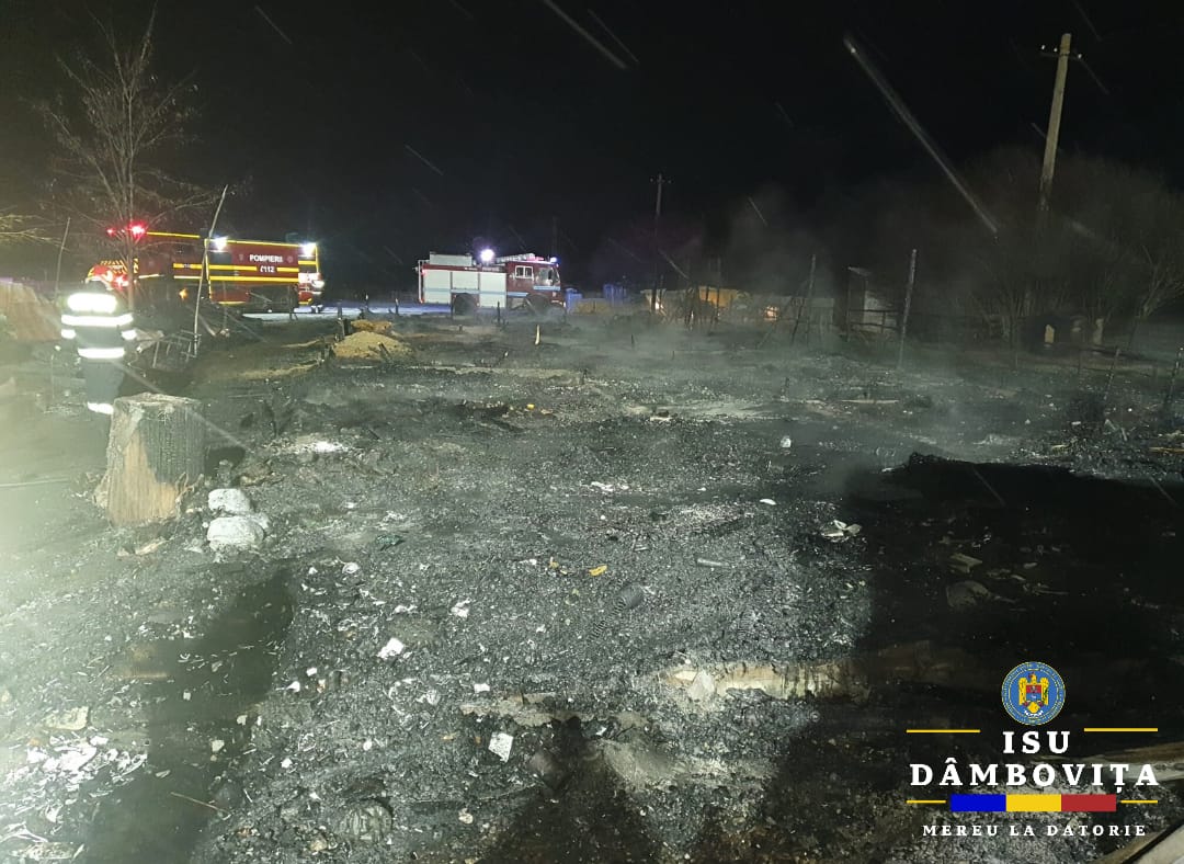 Incendiu devastator la adăpostul de animale