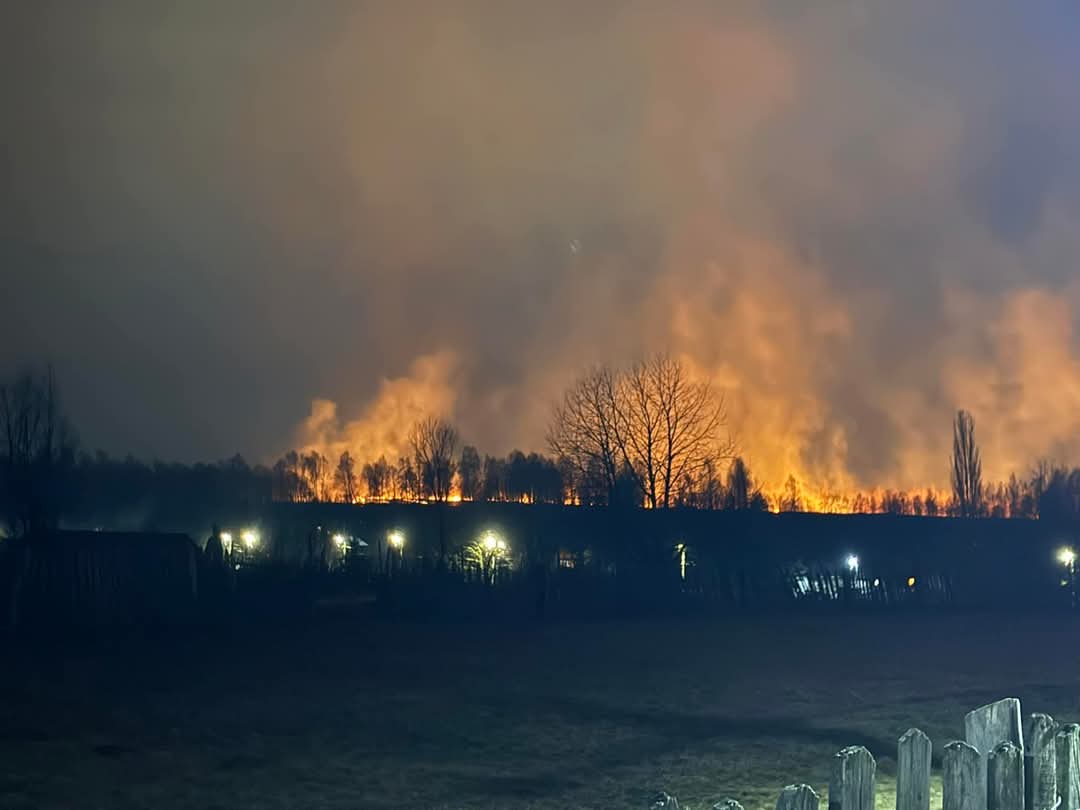 Incendiu iute stins în Valea Voievozilor