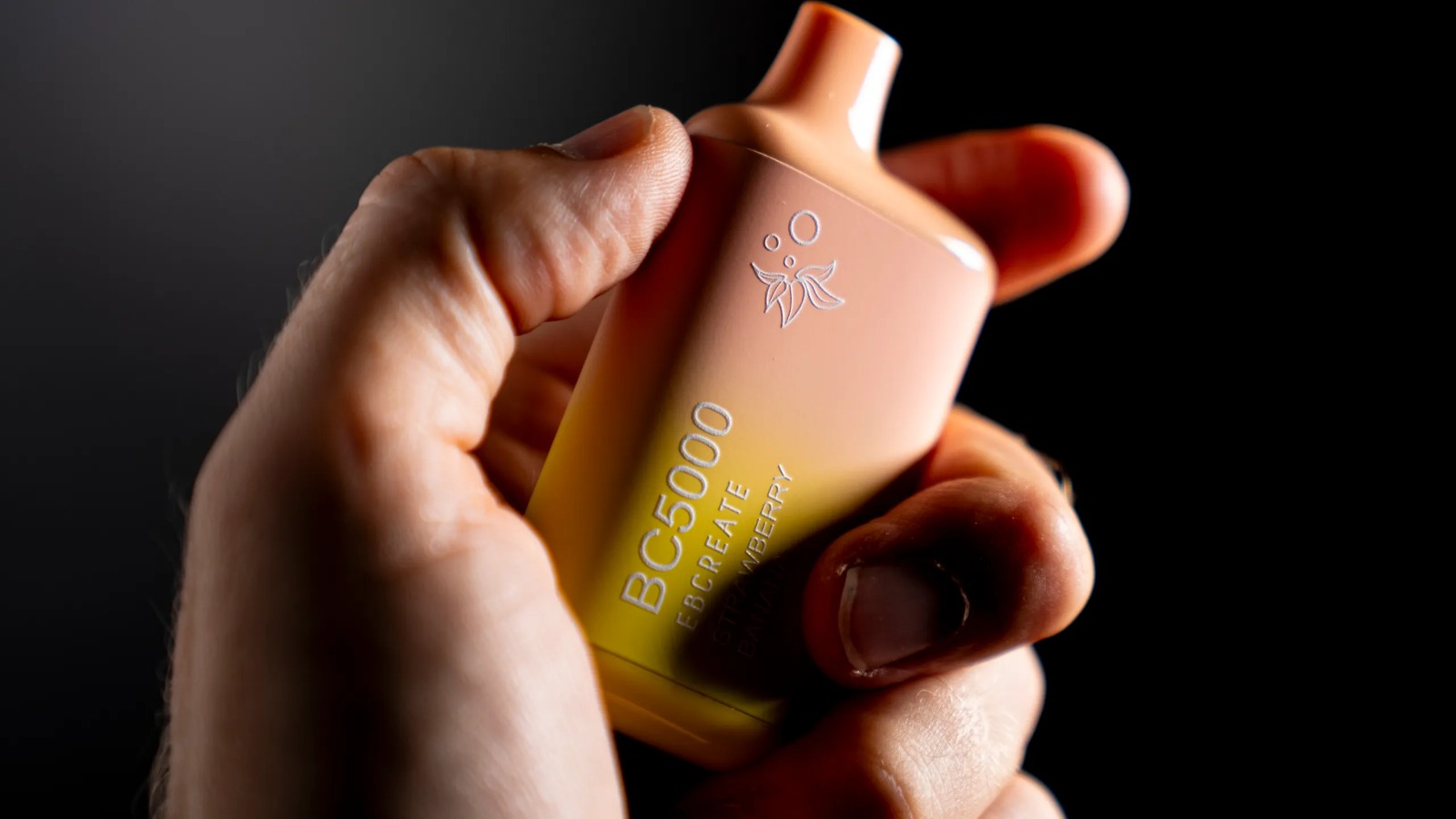 Introducere în Lumea Vapatului și Snusului