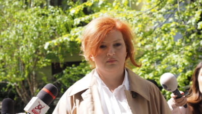 Ioana Băsescu și gruparea Nordis: detalii