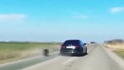 Mașina președintelui Serbiei a rămas neocupat roată