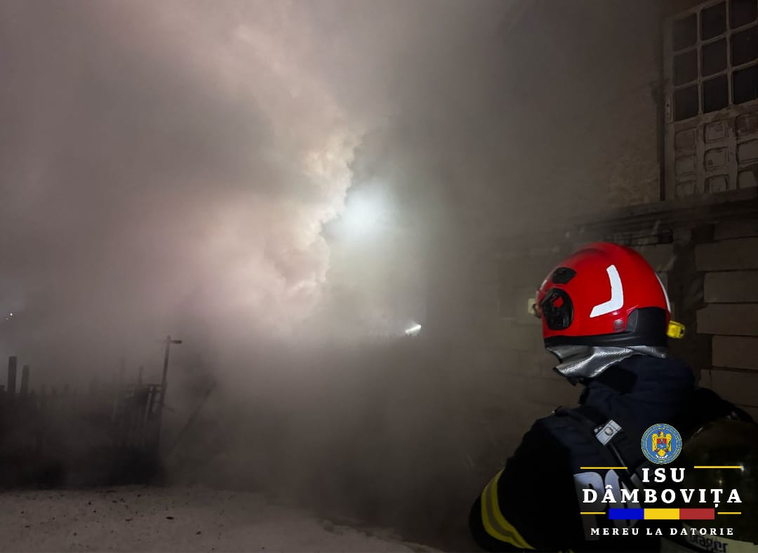Pompierii sting incendiu în Mogoșani