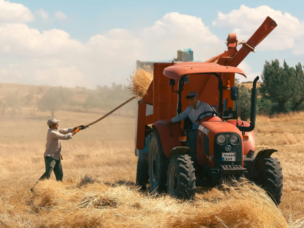 Provocările agriculturii românești în 2025