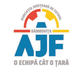 Septimiu Burtescu vrea să fie președinte AJF