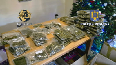 USR cere explicații despre traficul de droguri