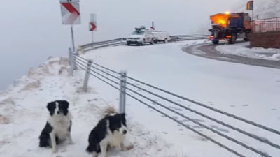 Vești proaste: vreme rece în continuare!