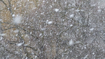 Vortex polar aduce ninsori în nordul României