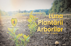 A început Luna Plantării Arborilor
