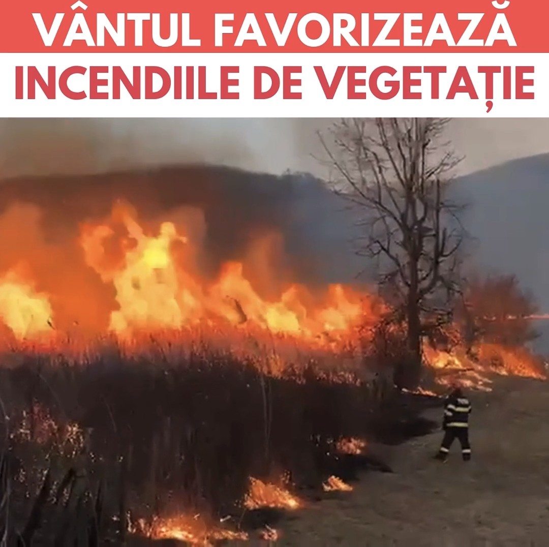Incendii de vegetație pe 9.500 ha în 2025