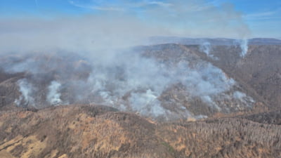 Incendii devastatoare în 7 județe din România