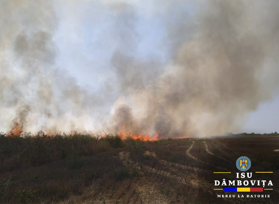 Incendiile de vegetație fac ravagii în județ