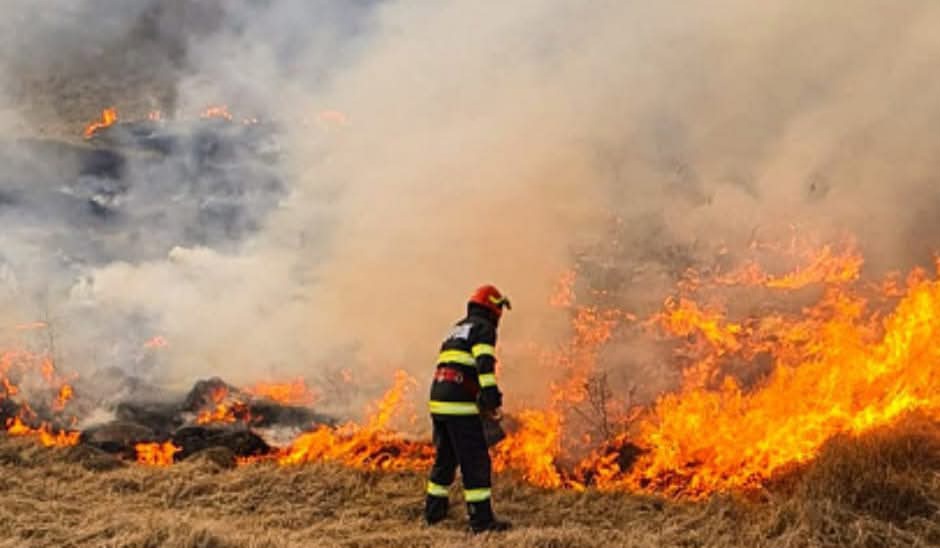Intervenție rapidă în Moreni, incendiu vegetal